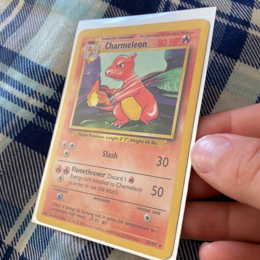 1999 charmeleon